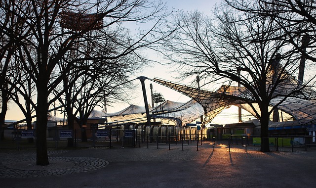 养上需要更 养上需要更