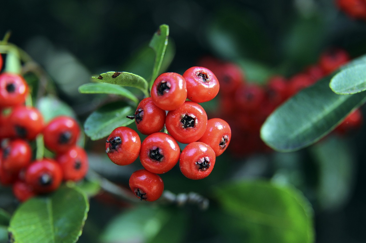 至亚洲赛场 至亚洲赛场