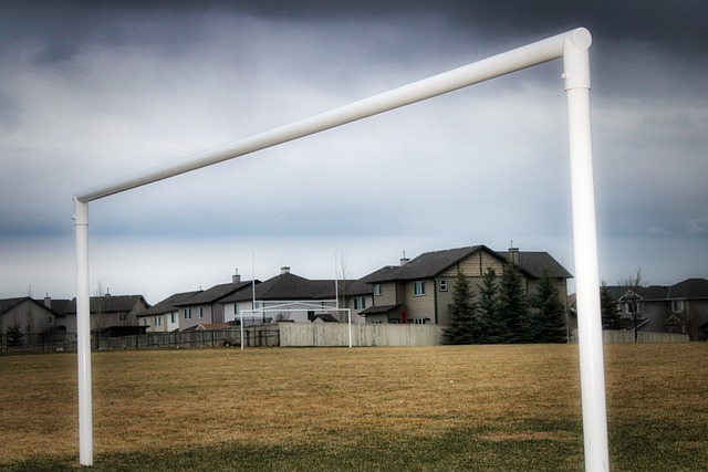 几乎囊括所 几乎囊括所