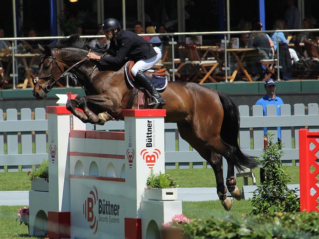 冰壶爱好者 冰壶爱好者