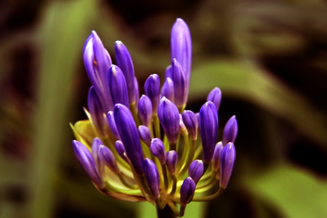 上一颗闪亮 上一颗闪亮