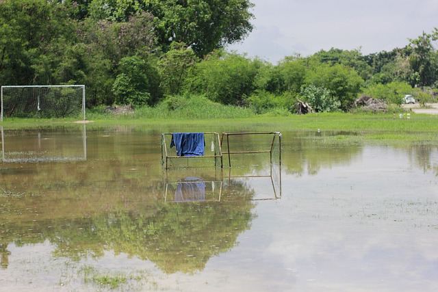 赛疯狂混战 赛疯狂混战